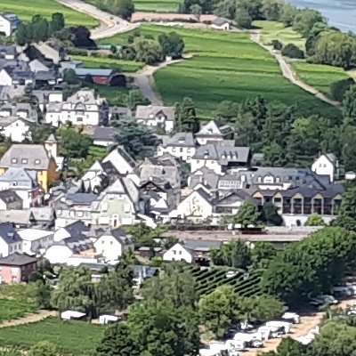 Moselle : en amont de Bernkastel