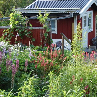 Les jardins ouvriers de Tantolunden