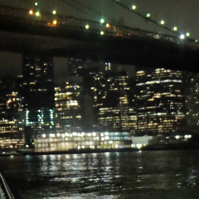 The Bridges : Brooklyn and Manhattan