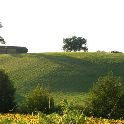 Le Gers à travers champs
