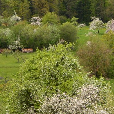 Sur la route de Calw et d'Hermann Hesse