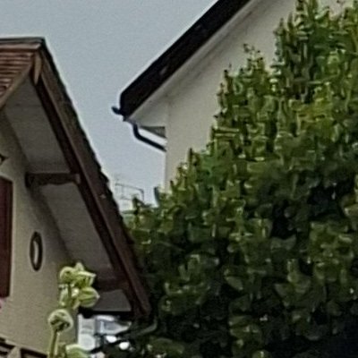 De Gontenbad à Jakobsbad : balade sous la pluie, bien sûr