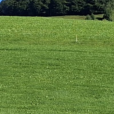 Retour à Urnäsch chez Lise