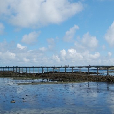 De Morlaix à Roscoff