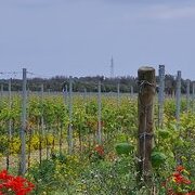 Sur la route des Pouilles