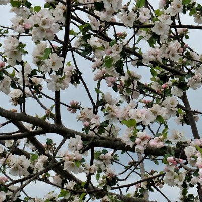 Sur la route de Calw et d'Hermann Hesse