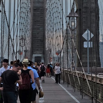 The Bridges : Brooklyn and Manhattan