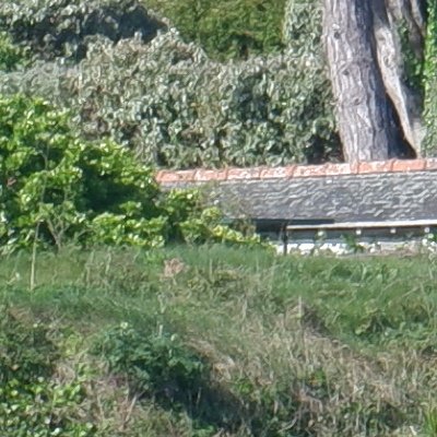 Bol d'air aux Îles de Chausey