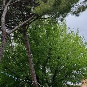 Ravenne sans les mosaïques 