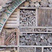 Jardin des plantes : orchidées et textures en hiver
