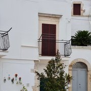 Noci