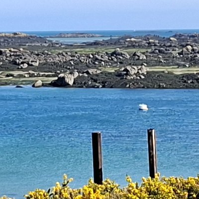 Bol d'air aux Îles de Chausey