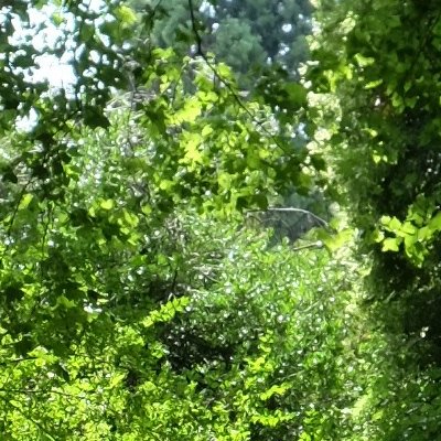 Des Buttes-Chaumont à Nation