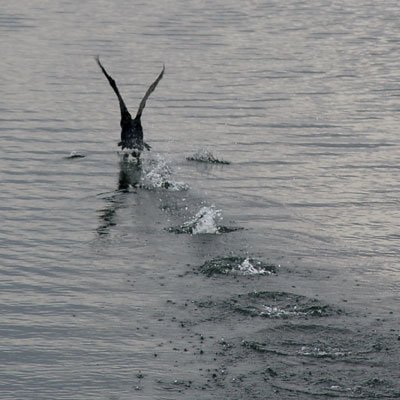 Bord de seine : jour et nuit 