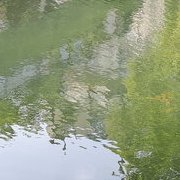Le canal Saint-Martin avant le re-confinement