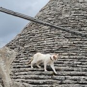 Alberobello