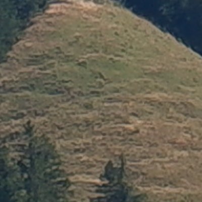 Balade au Moléson vers la buvette du Gros plané