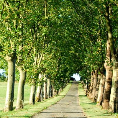 Le Gers à travers champs