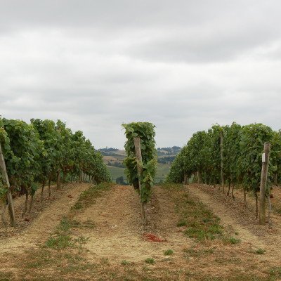 Le Gers à travers champs