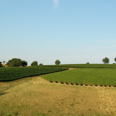 Le Gers à travers champs