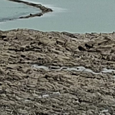 Convalescence à Granville