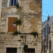 Trani