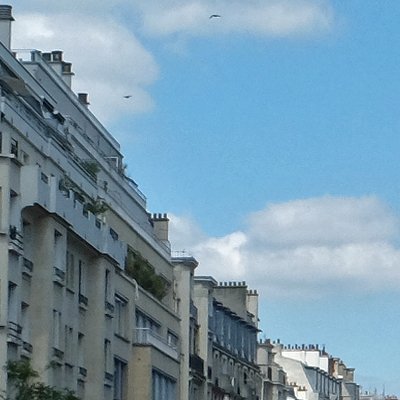 Promenade dominicale vers la place de la laïcité