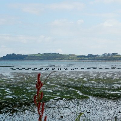 La rivière de Morlaix