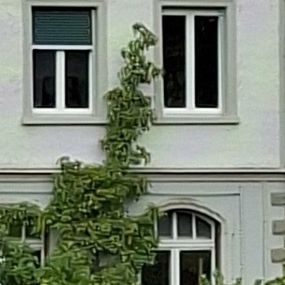 Sur les traces de Robert Walser à Herisau
