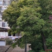 Lisbonne avec 2 téléphones