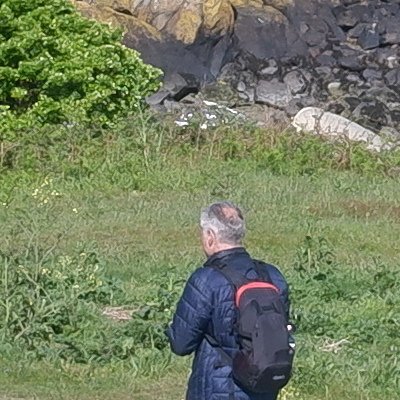 Bol d'air aux Îles de Chausey