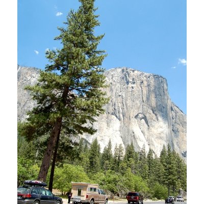 Yosemite Park