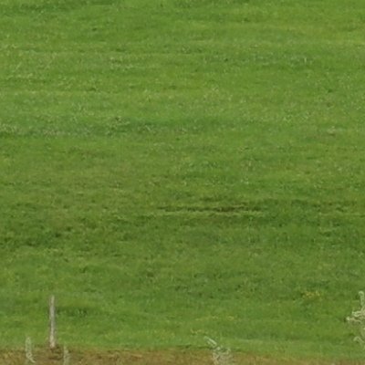 De Gontenbad à Jakobsbad : balade sous la pluie, bien sûr