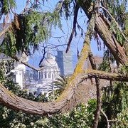 Dernier voyage à SF ?