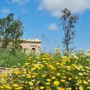 Ostuni