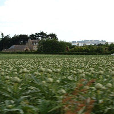 De Morlaix à Roscoff