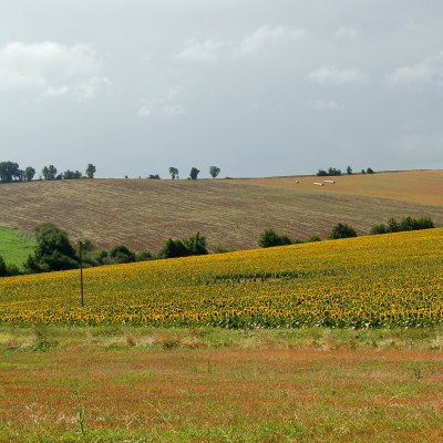 Le Gers à travers champs