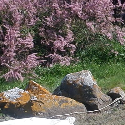 Bol d'air aux Îles de Chausey
