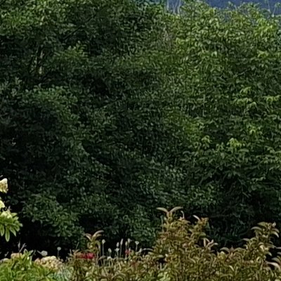 Les fontaines de Saint-Blaise