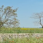 Sur la route des Pouilles
