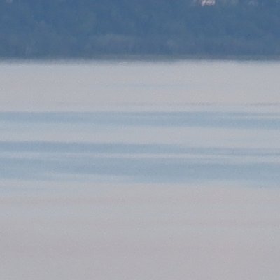 Hauterives sur le lac de Neuchâtel