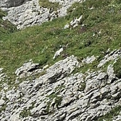Vue du Säntis : juste à temps