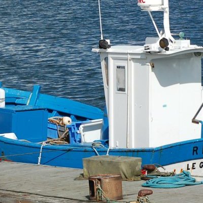 Matinée portuaire