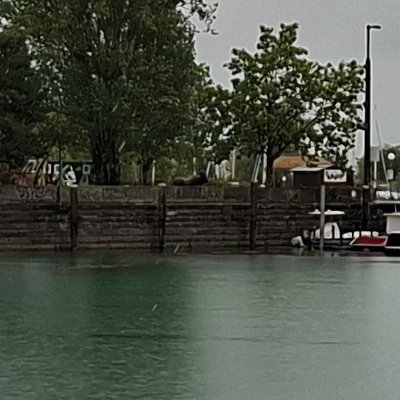 Lac de Constance, encore sous la pluie