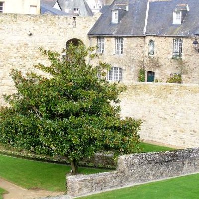 Vannes