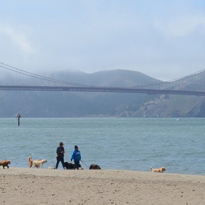 Autour du Golden Gate Bridge