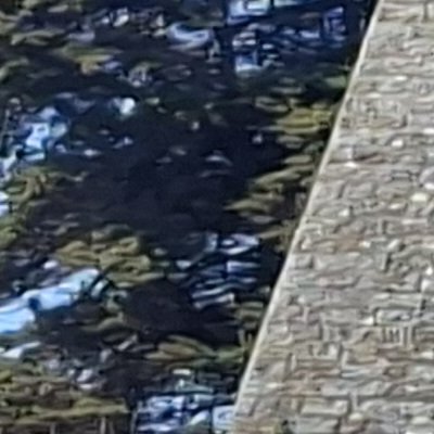 Bol d'air aux Îles de Chausey