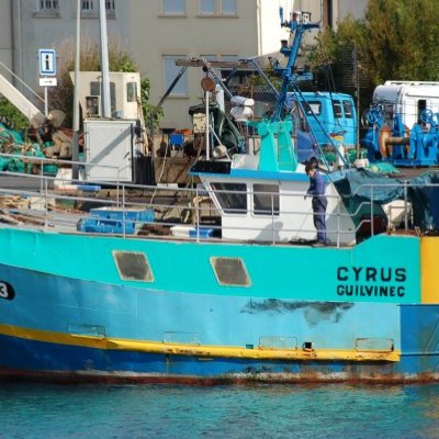 Matinée portuaire