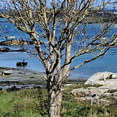 Bol d'air aux Îles de Chausey