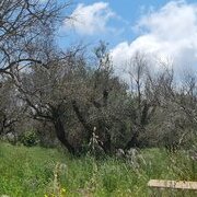 Sur la route des Pouilles